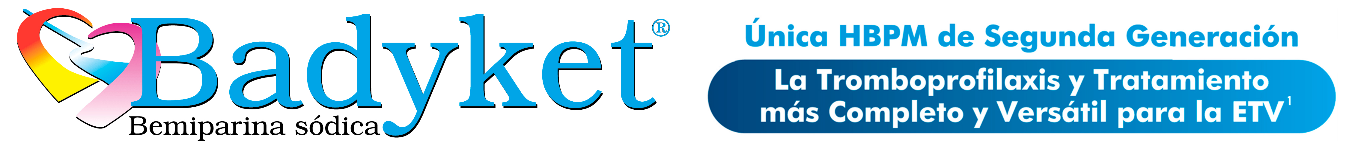 Badyket logo
