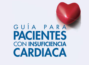 Guia sobre IC