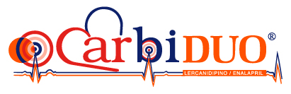 CarbiDuo Logo